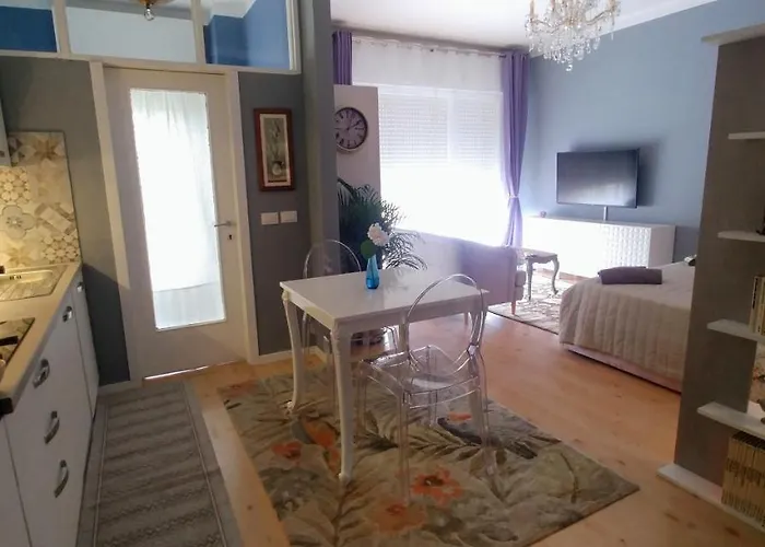 Panorama Apartment *